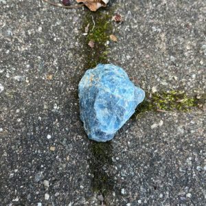 Blue Apatite Rough (bap6)