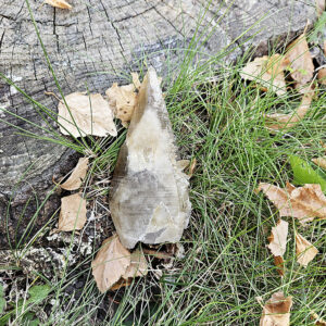 Shamanic Smoky Quartz (ssq5)