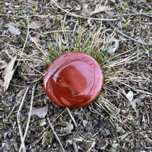 Mookaite Palmstone (ja13)