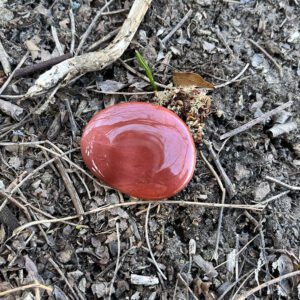 Mookaite Palmstone (ja17)