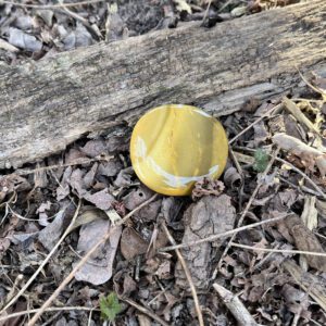 Mookaite Palmstone (ja18)