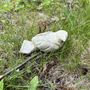 Butter Jasper Bird (ag2)