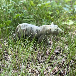 Butter Jasper Leopard (ag3)